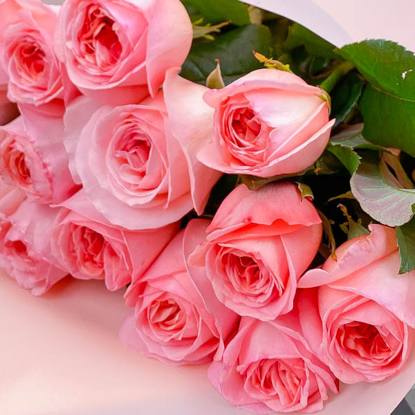 Букет розовых роз (50 см)